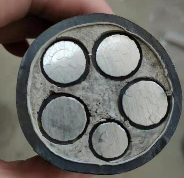 金陽光電線電纜質(zhì)量檢測(cè)及解決辦法是什么.jpg
